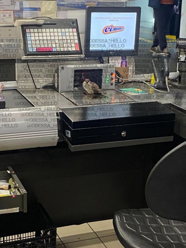 � ����������� �������� ������ ������� �������� �� ������