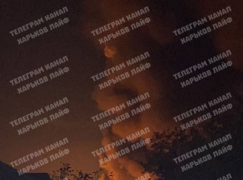 ���� ����� ����� ��������� ������ ������ ����� �� ���� ����������� �������