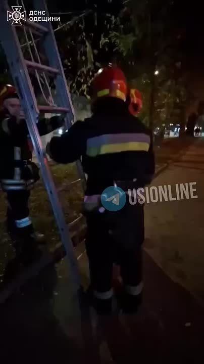 ������� ����� ������� ������ �������� � ������