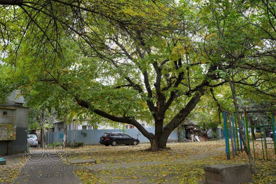 ������ � ������ ��� ������ ��������� ����, ������� ���������� ����� � ���������� ����, �������� ������������ �������� �����, ������ � ������ ������