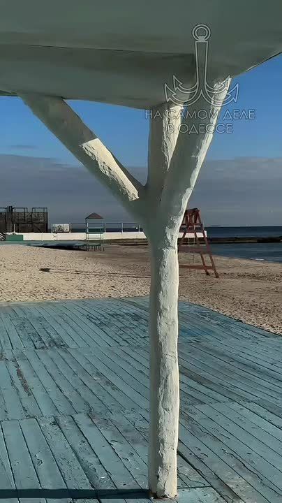 ����, ������ � ������ ��� � �����!