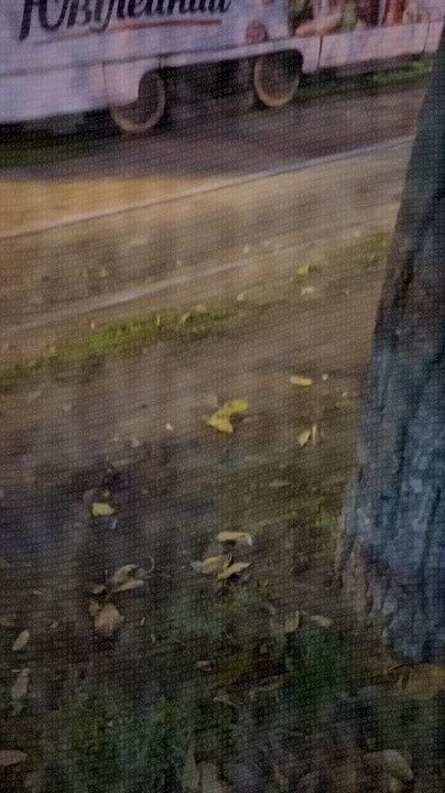 � ������ ������� �������� ����������