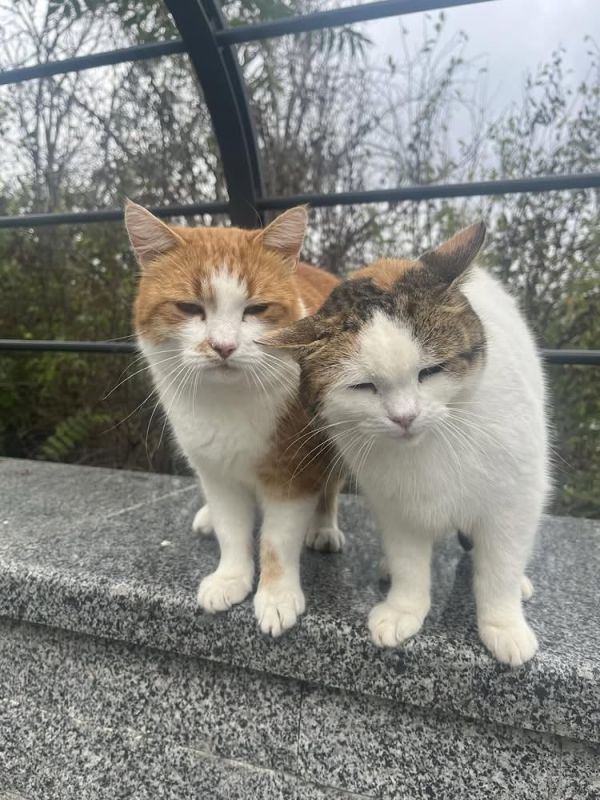 �������� ������� � ���� �������� �����