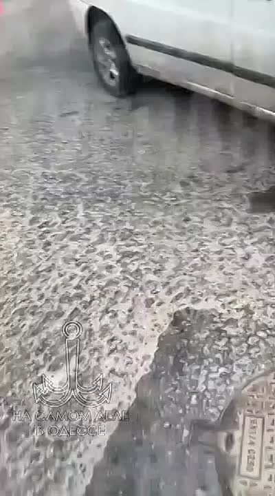 ����� �� ������ �� ����� ����������