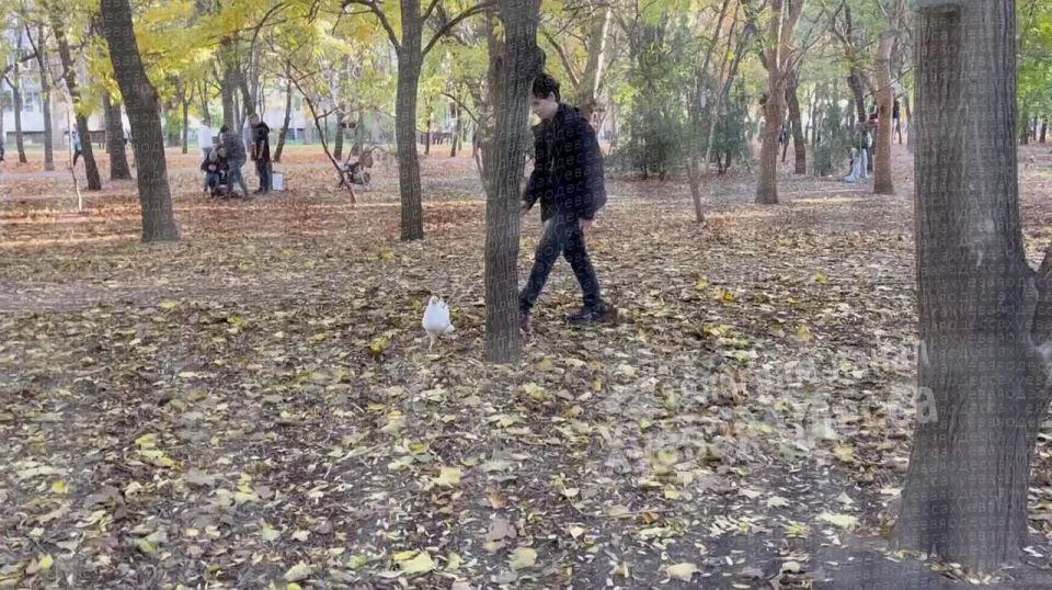 � ����� ������ �������� ��������� ������ �� �������