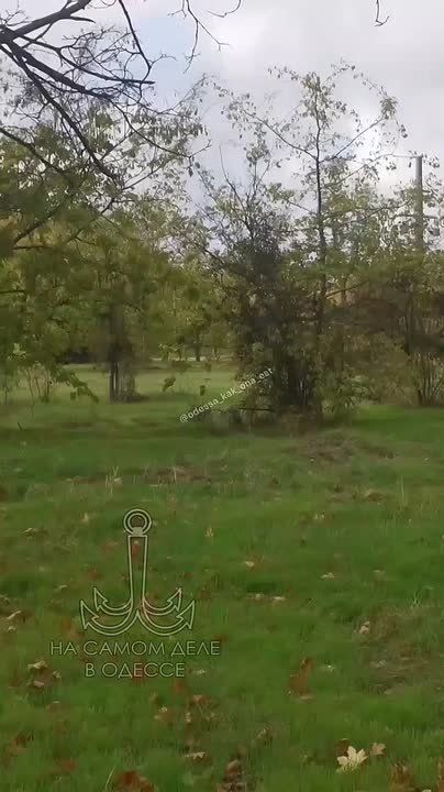 �������� �� ������ ���������� ��� ����������! � ����� ������ ���� �������� ������