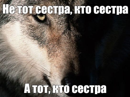 � ������ ��� ������ �������� ������� � ��������