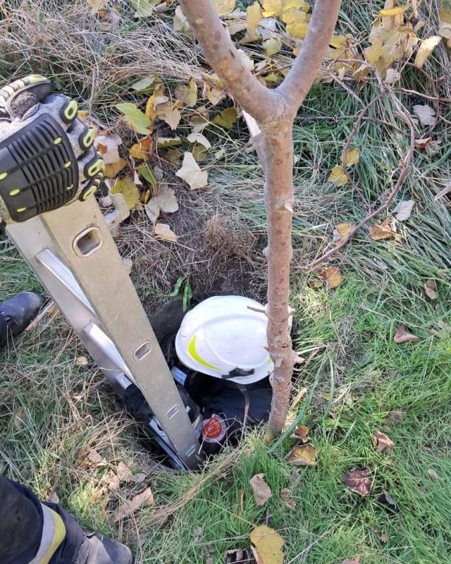 � ������ ������� ����� � �������