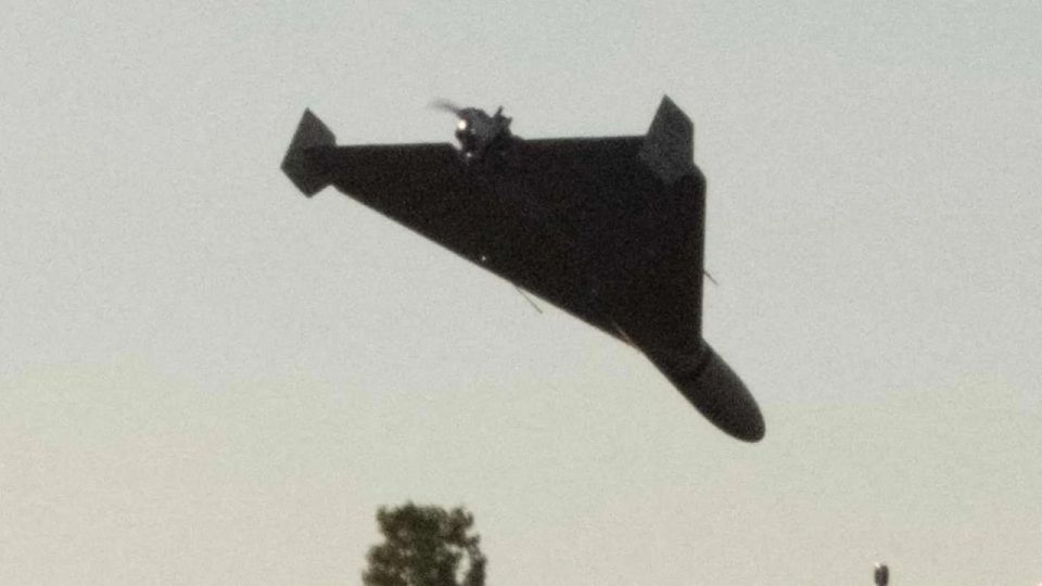 ���� ������ �� �������� �������