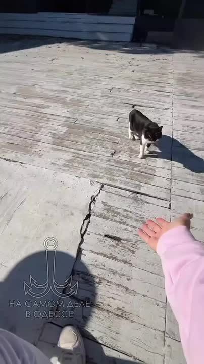 ���� ��, ������-���� ����������