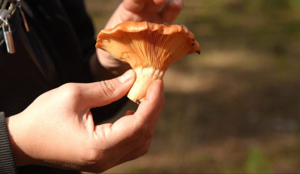 � �������� ������� ��� ������ ����� �����