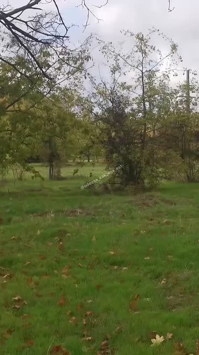 �� ������ ����������� ������