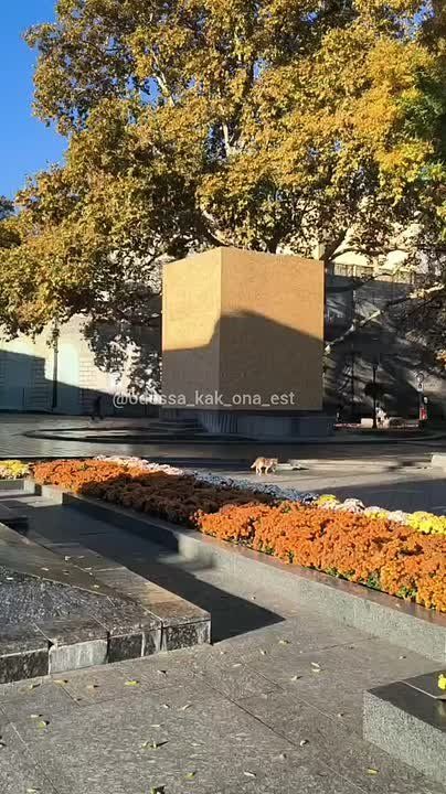 В Одессе заколотили досками памятник Пушкину, который неоднократно подвергался нападениям вандалов