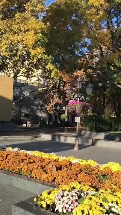  : ,    .. ,         ,      (    ,   )