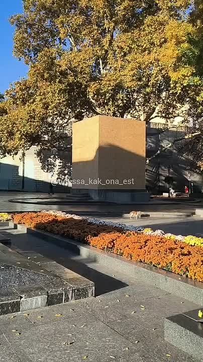 Их борьба: памятник Пушкину заколотили досками в Одессе