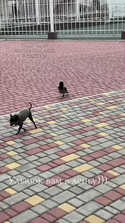 Таки да, Одесса-мама проснулась