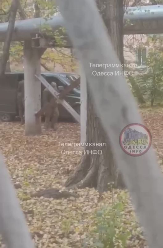 � ������ ������� ����������� ��� �������� ����������� �������� �������� �������� � ��� � ������