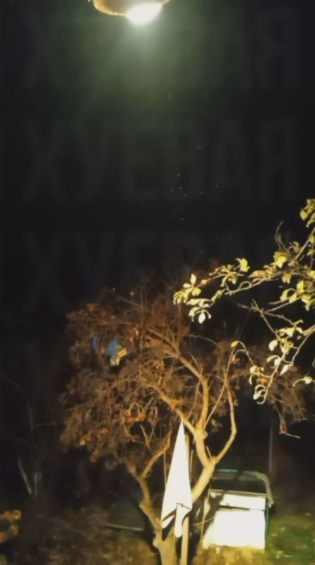 � ������� �������� ������� ����� ��� ����