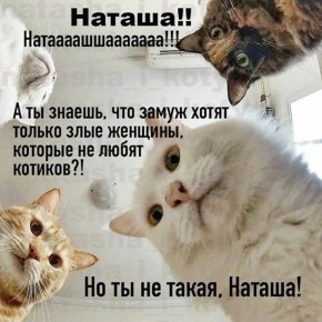 Кстати, сегодня отмечается День независимых гордых и одиноких женщин