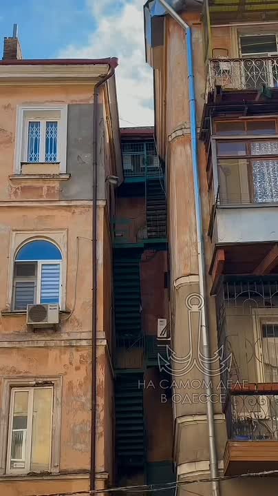 Таки да, Одесса-мама проснулась