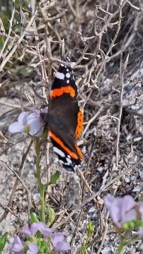 Восхитительная природа Одесской области