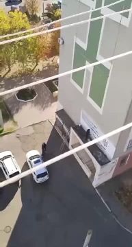 В Одесской области жители замучились подтирать за радикалами