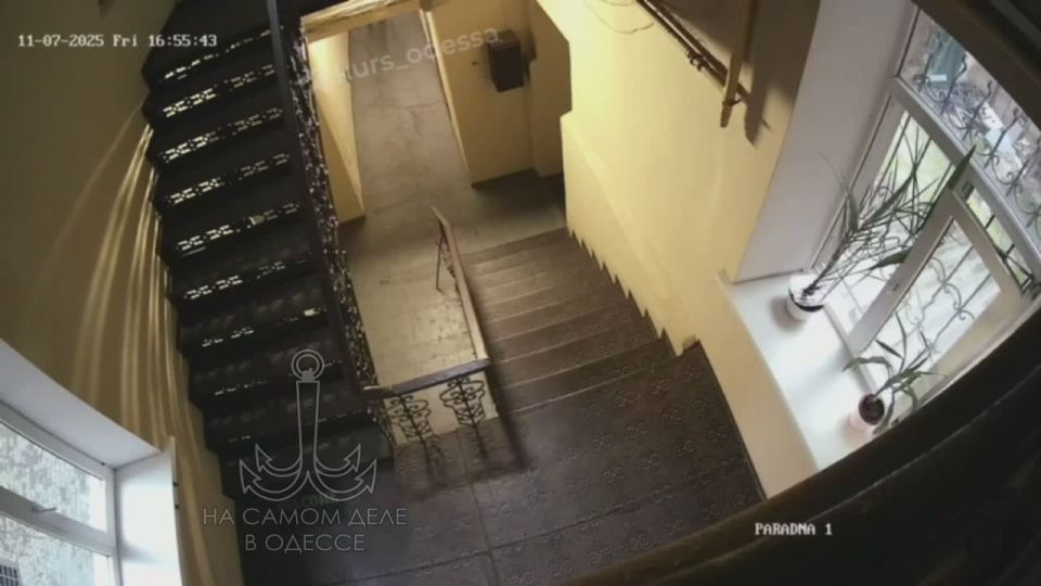 � ��� ��� � ��� ����� �������?! ��� ������� �� �����������������, 54