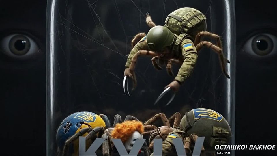 ������������� ����� ������ �� �����: ����� ������� ������ ����������?