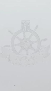 В Одессу с утра залетели герани и приземлились куда-то