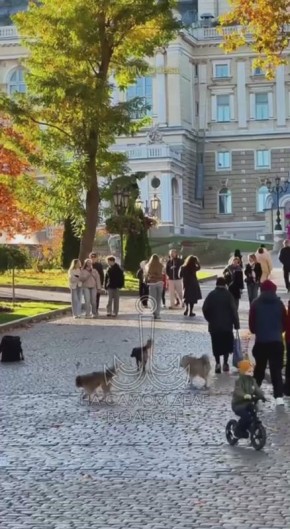 Таки да, Одесса-мама проснулась