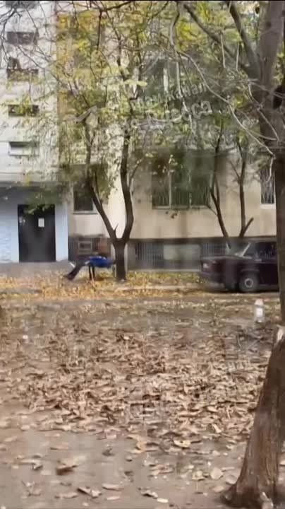 ��������� ������� ������ ���� �� �������� ����� ������ ���� � ������