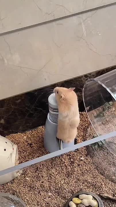 Это наш начальник смотрит по камерам, как мы пытаемся пораньше уйти с работы