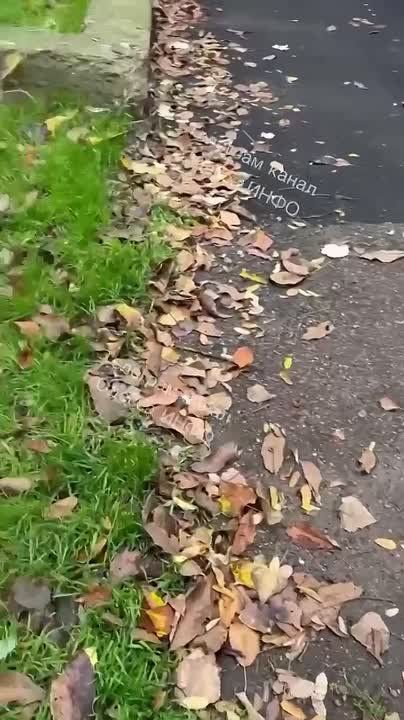 Очередное видео насильной мобилизации в Одессе