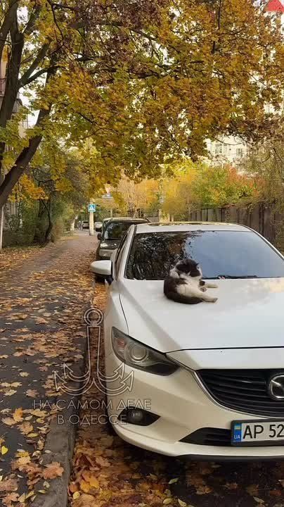 �������� ���� �� ������. �� ����� �� �������� ��� ��� ������