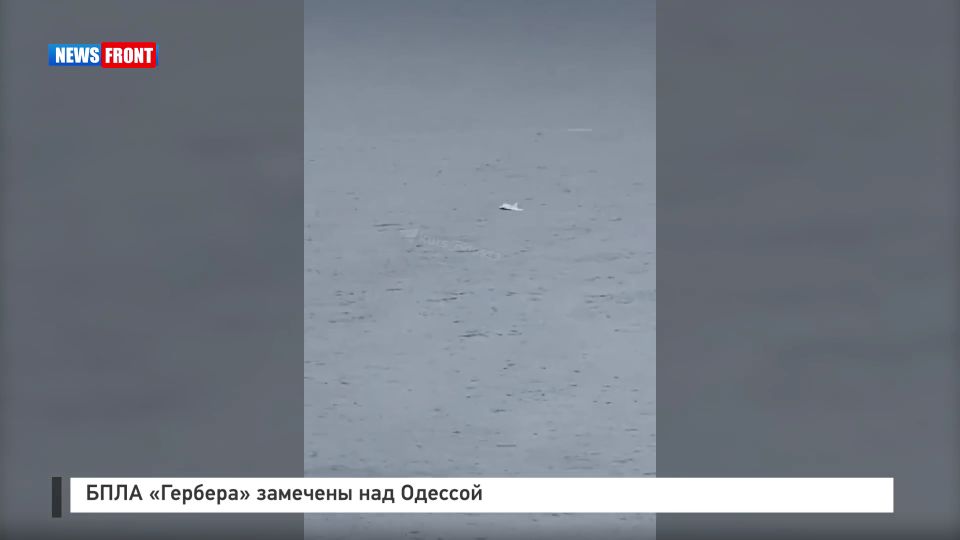 БПЛА «Гербера» замечены над Одессой