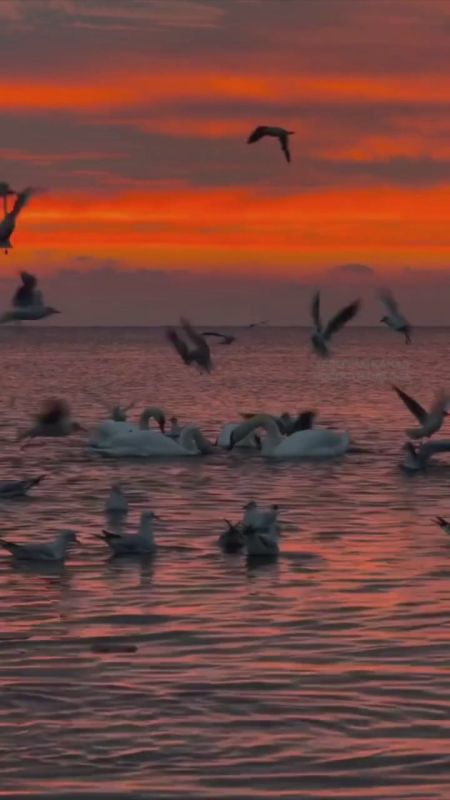 Чарующий сказочный рассвет в Одессе
