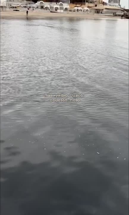 � ������� ��������� ����� ������� � ���� �����������