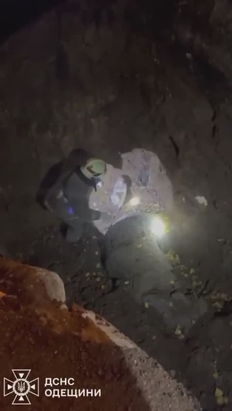 В Одессе спасатели вытащили щенка из двухметровой ямы