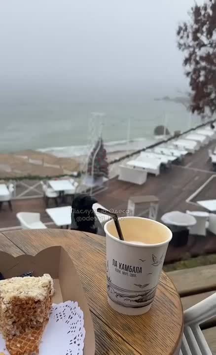 Стаи наглых воров орудуют в Одессе