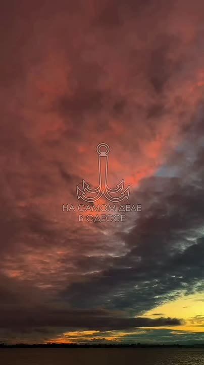 -,  .  !     ?!    ,  ,   !     19.11.2025  :