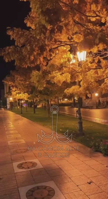 Вечер в Одессе бывает тихим и спокойным