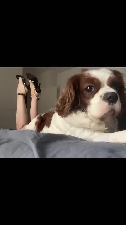 Доброй ночи, Одесса. Этот трудный день завершился, но завтра нас ждёт еще один, поэтому набирайтесь сил и обсыпайтесь Увидимся завтра Блокнот Одесса