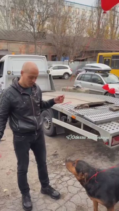 В Одессе торжественно открыли большую будку для собак