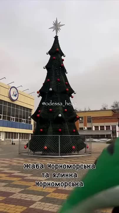 В Одессе установили новогоднюю ёлку
