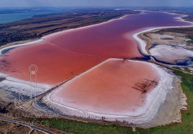 Новый чумацкий шлях. На территории национального парка «Куяльницкий» в Одесской области скоро начнёт работу соледобывающий завод