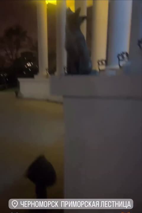 ������, ��������� �� ������, ����� � �����������