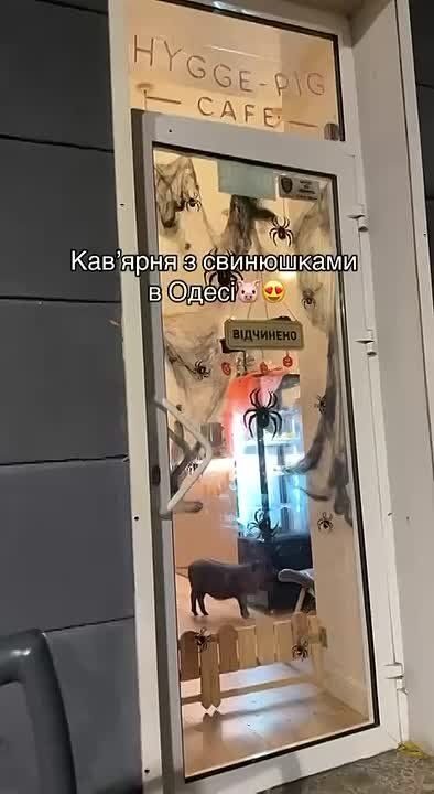 � ������ ����� ������ ���� � �������� �� ��������