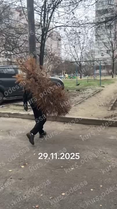 �������� ����������� ������ ���������� ����