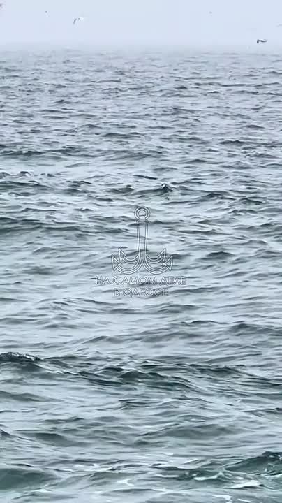 ������-����, ������ ����. � �� ����, ����� ��������� � ���������, ����� ����� � ������������� � ���������? ������ �� ����� �� 01.12.2025 �������� �������: