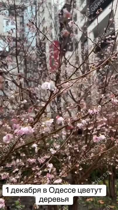 �� ����� �������, �������� ���������� ���� � ������ �������